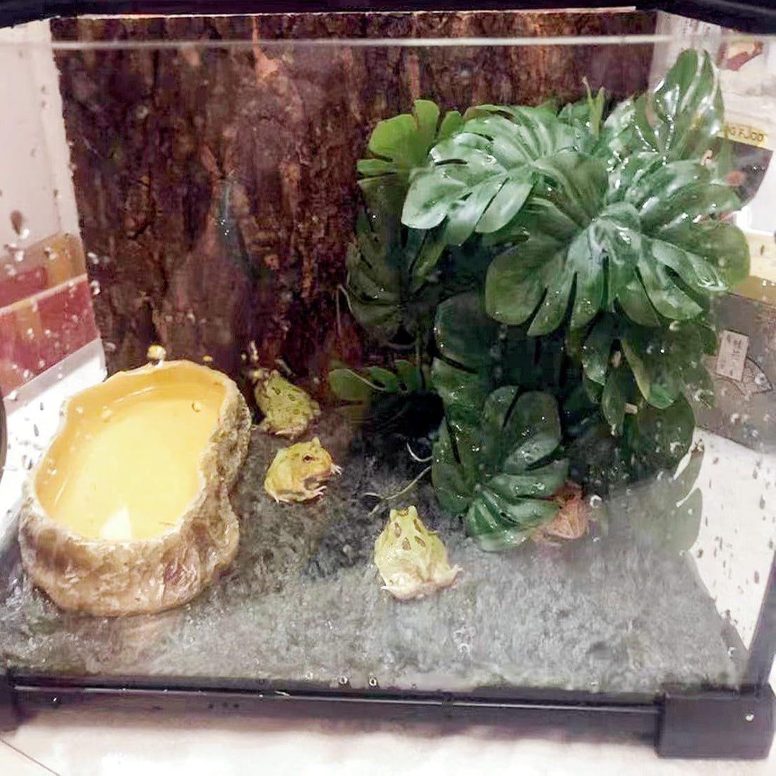 Fake Reptile Plants for Terrarium ,Tank Decor,Artificial Plant