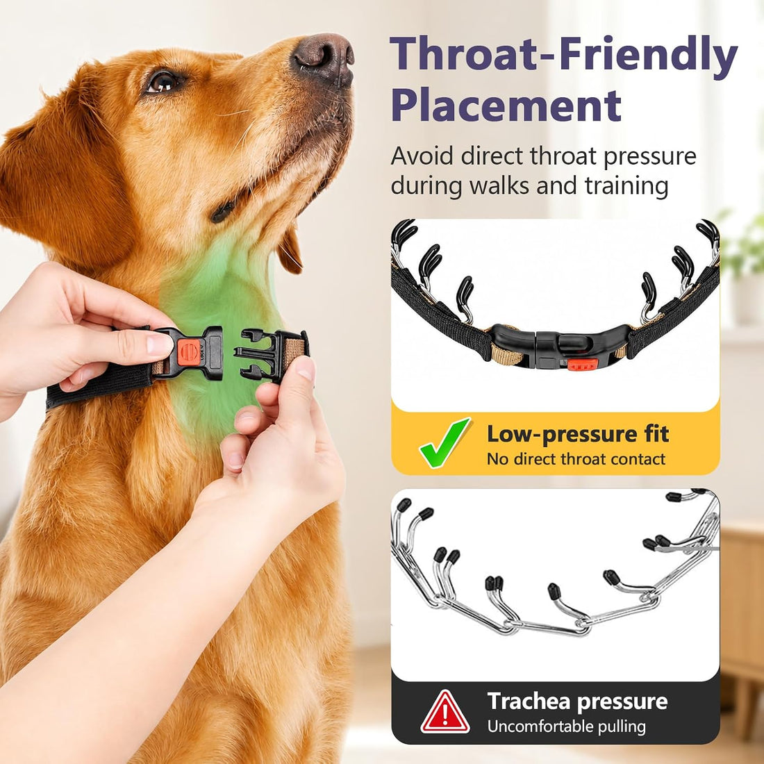 Crazy Felix No Pull Dog Collar