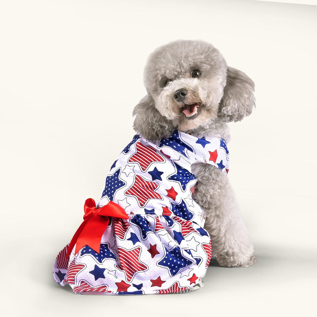 CuteBone Dog Mesh Dress Puppy Sundress Pet Outfit Summer Fashion