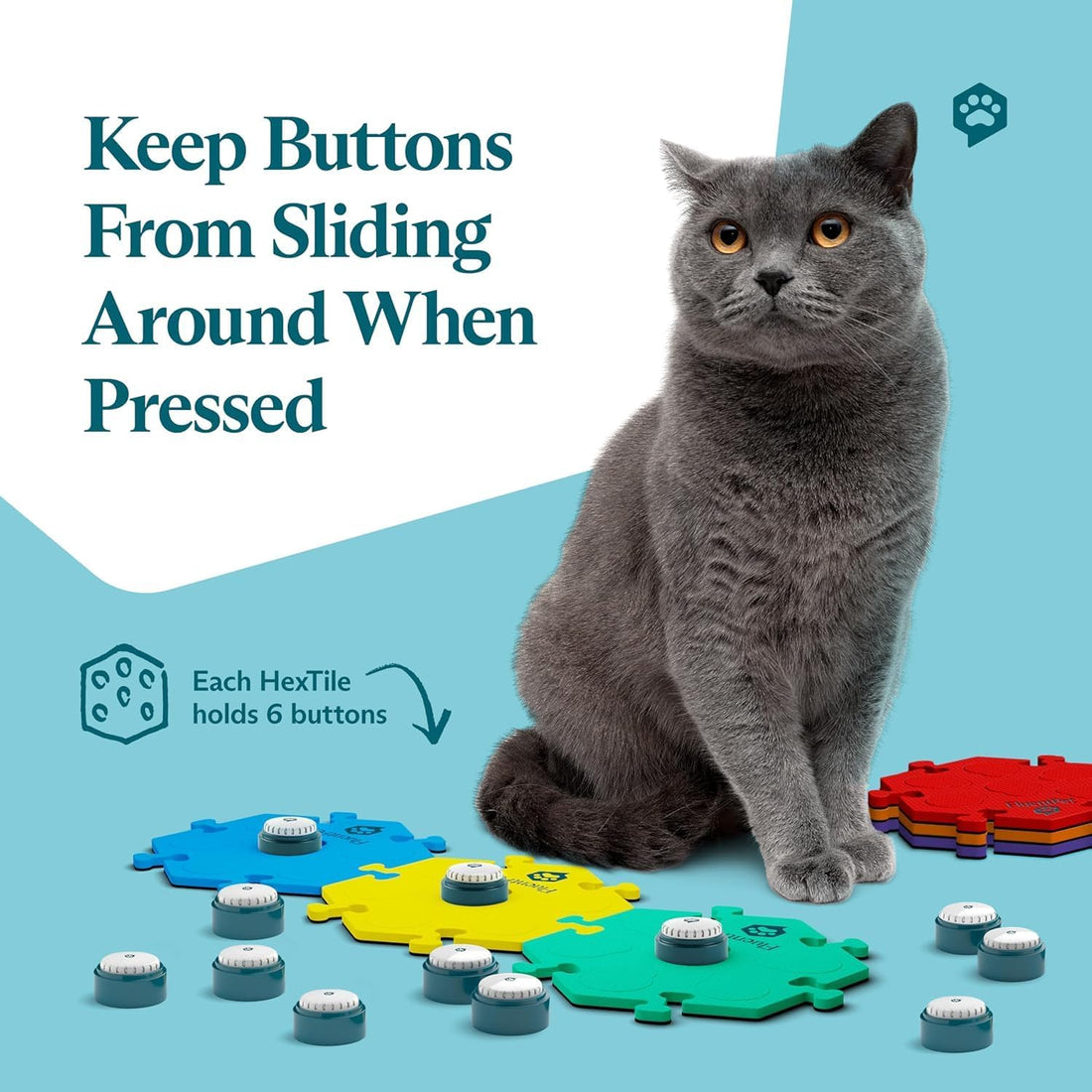 FluentPet Talking Buttons for Dogs & Cats