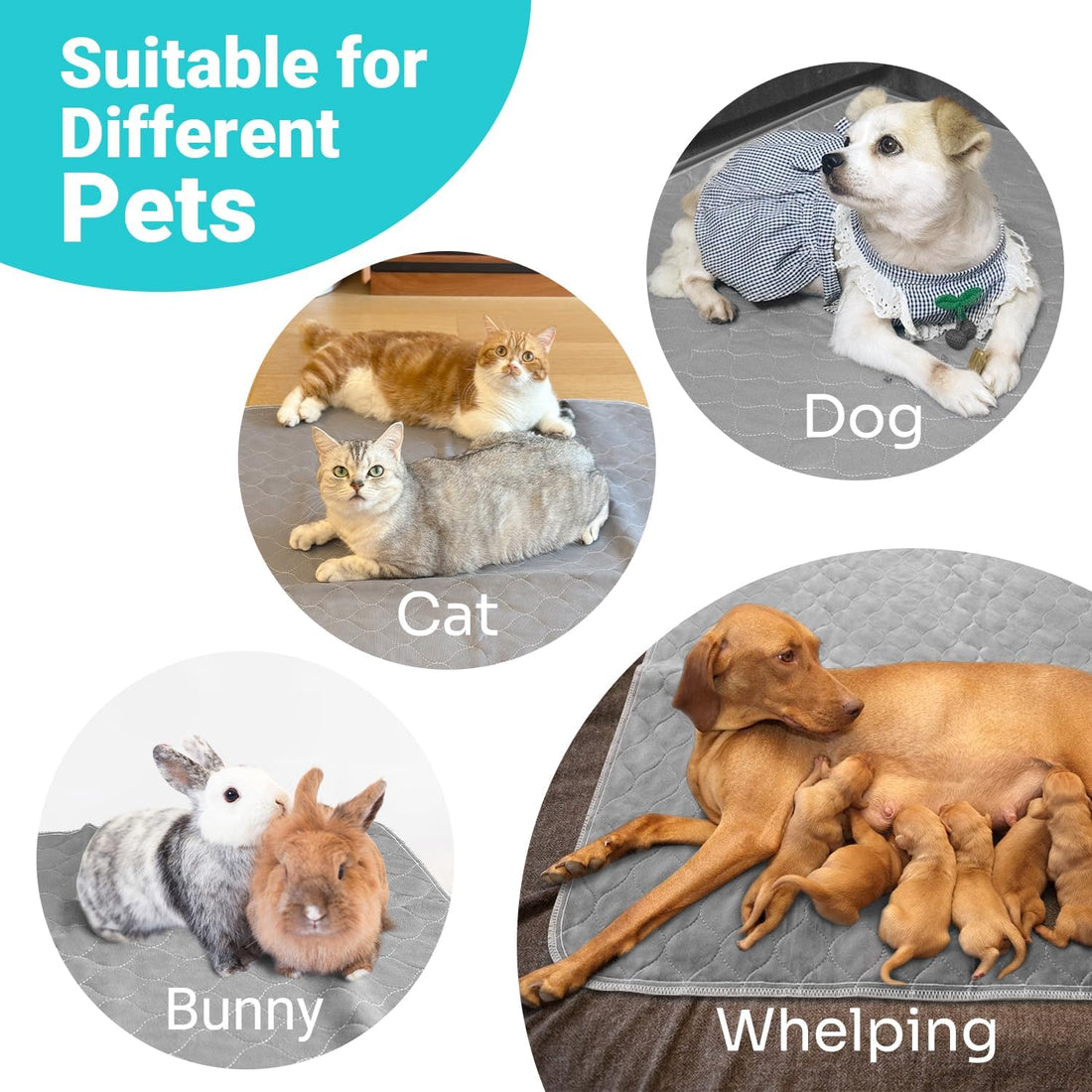 Conkote Reusable Pee Pads for Dogs Extra Large 60" x 48" Puppy