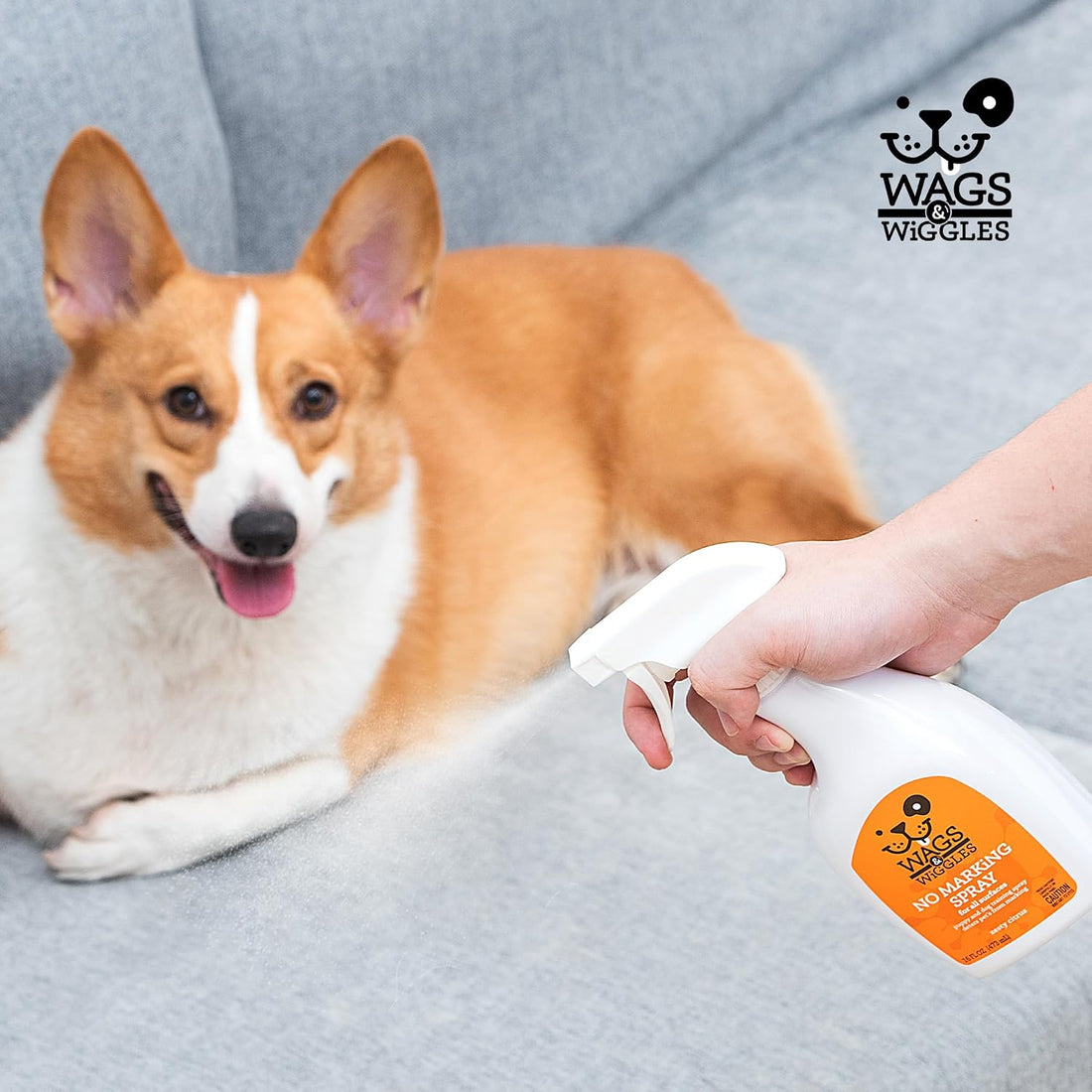 Wags & Wiggles No-Marking Deterrent Training Spray, 16 Fl Oz