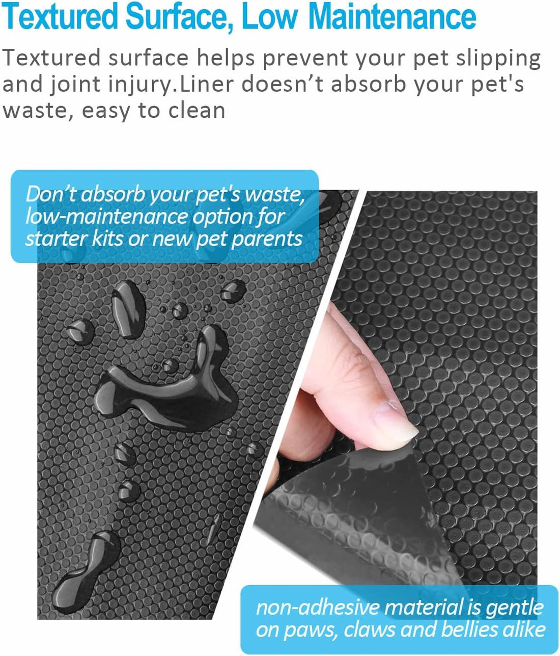 Bearded Dragon Tank Accessories