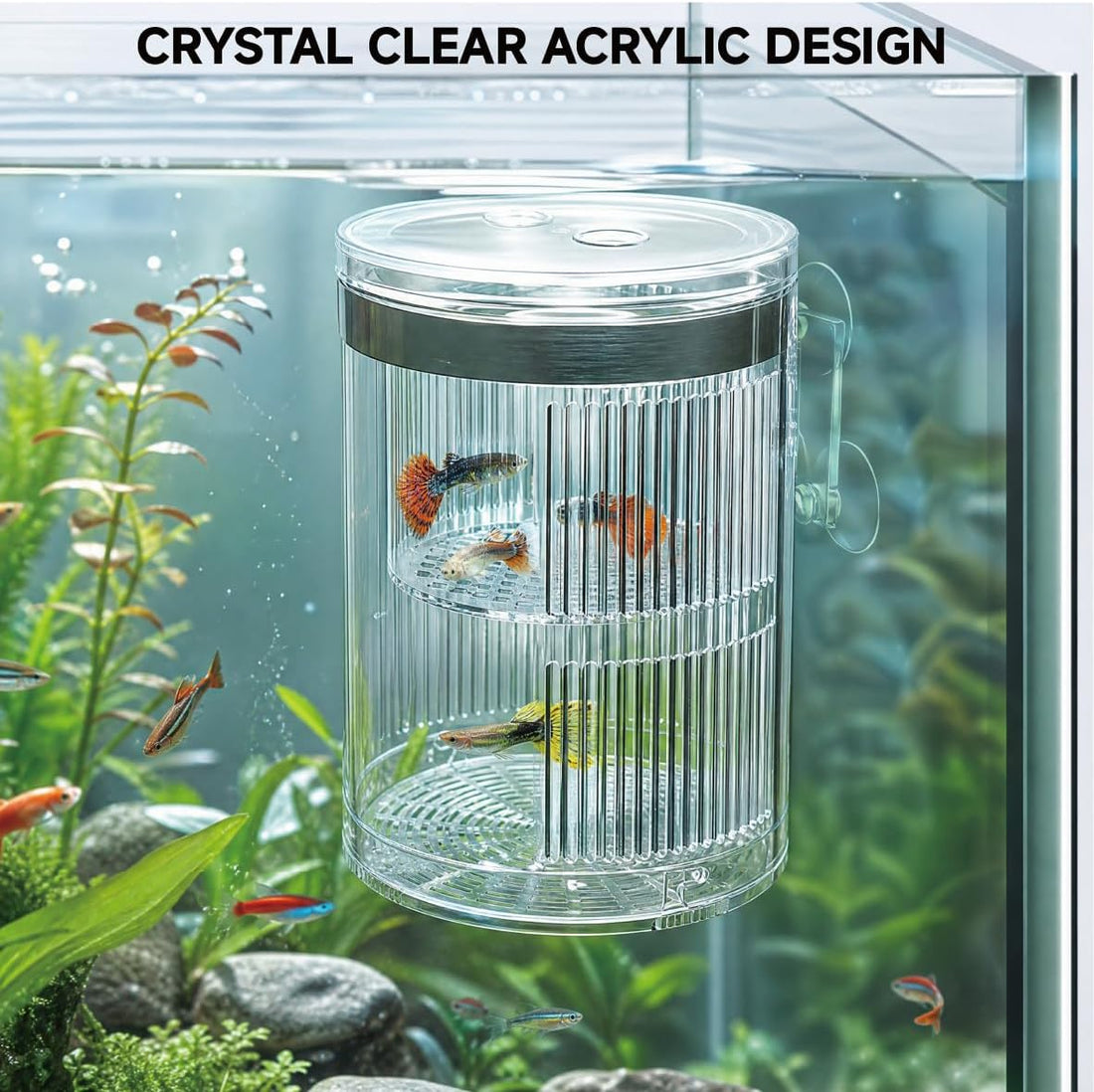 Floating Breeder Box for Fish Tank