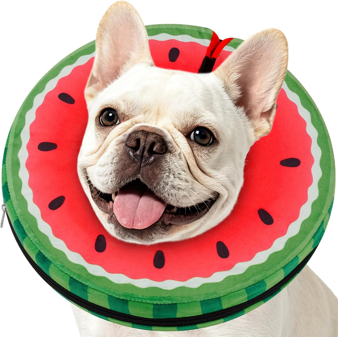 Donut Cone for Dogs, No-Inflation Sponge Donut Collar After Surgery