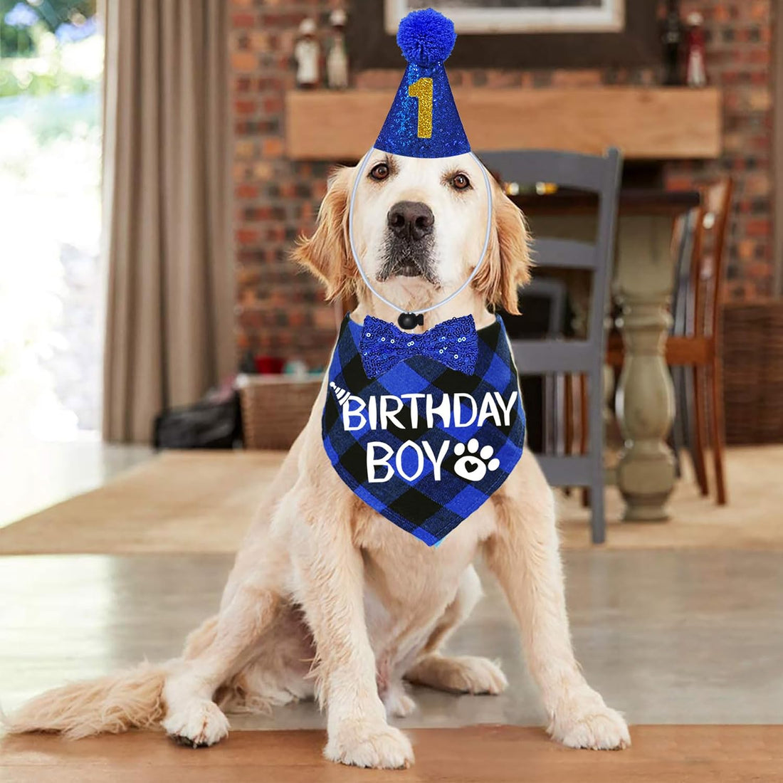 STMK Dog Birthday Party Supplies