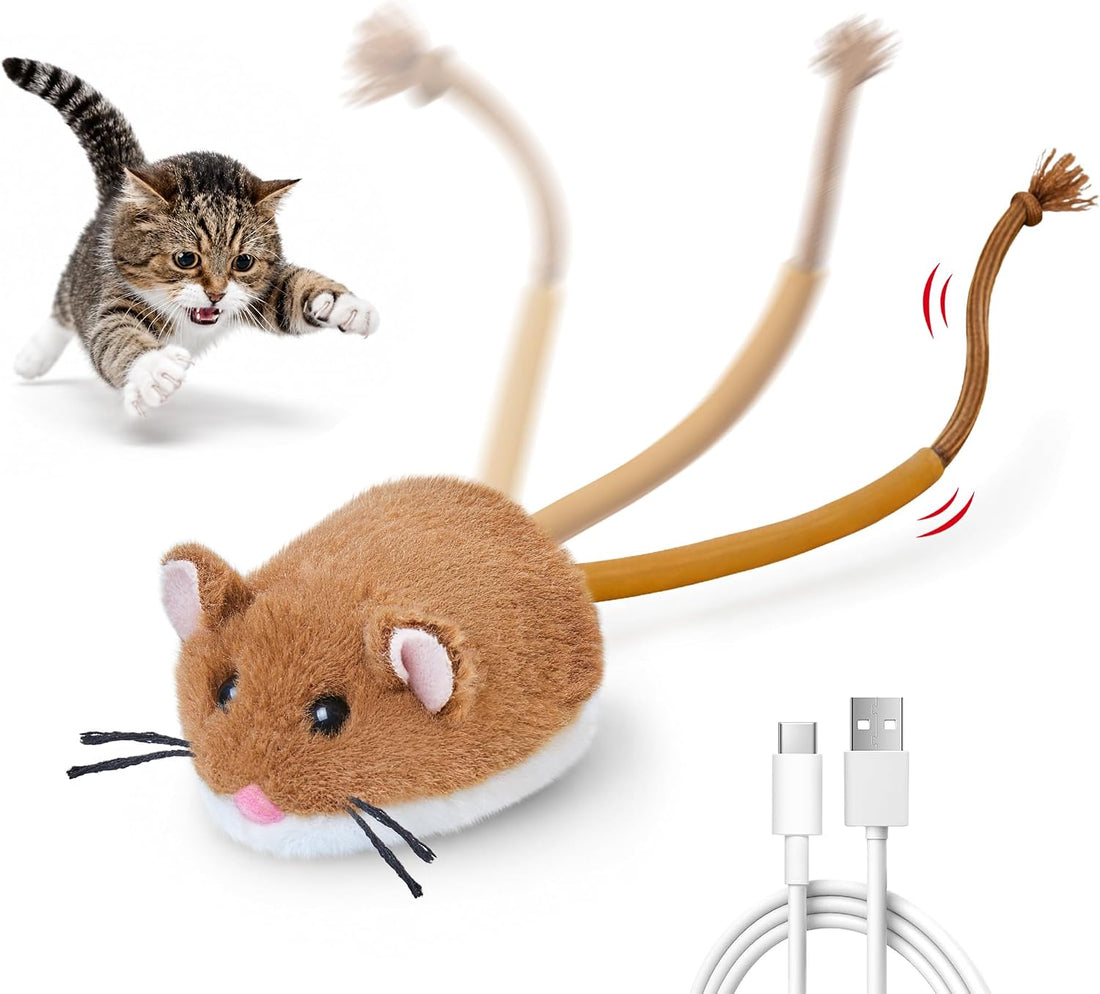 Potaroma Interactive Cat Toy Rechargeable Motion Activated Rolling