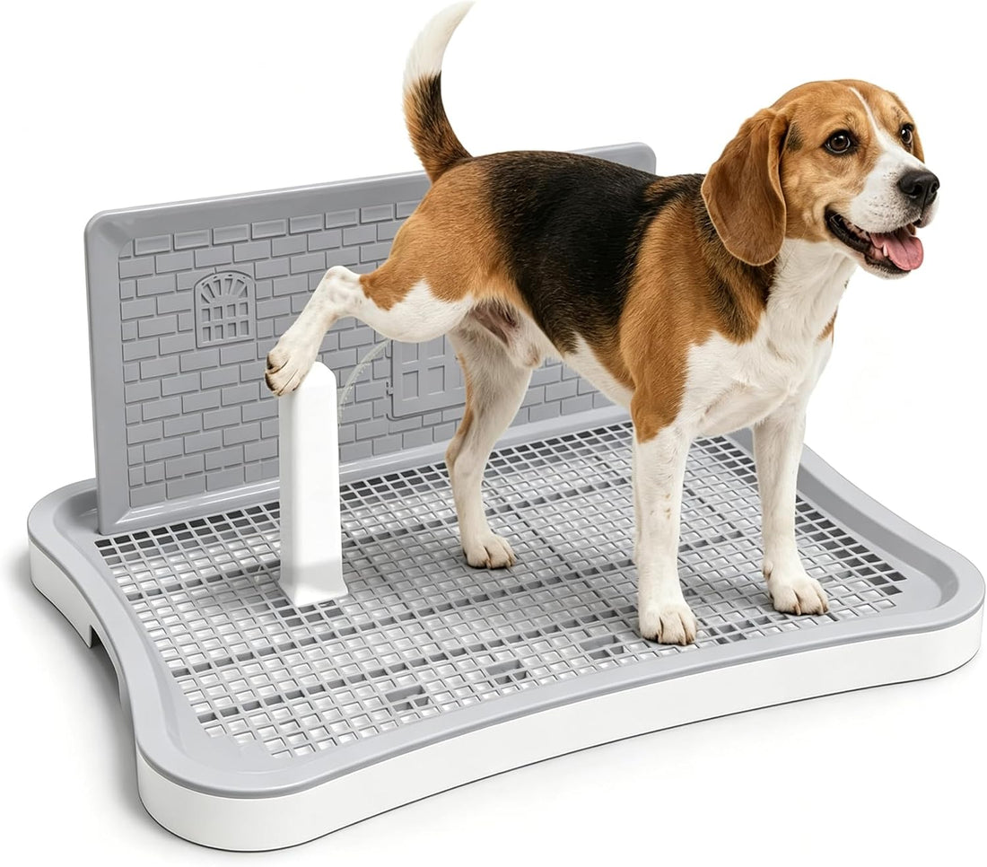 Pee Pad Holder for Dogs and Puppies, Dog Potty for Small Dogs