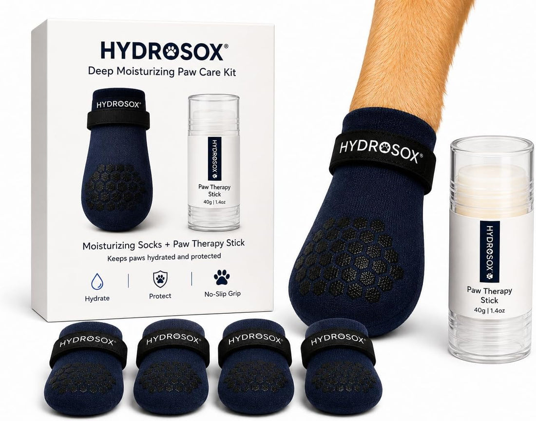 Dog Paw Spa Kit – Paw Balm & Moisturizing Dog Socks for Dry