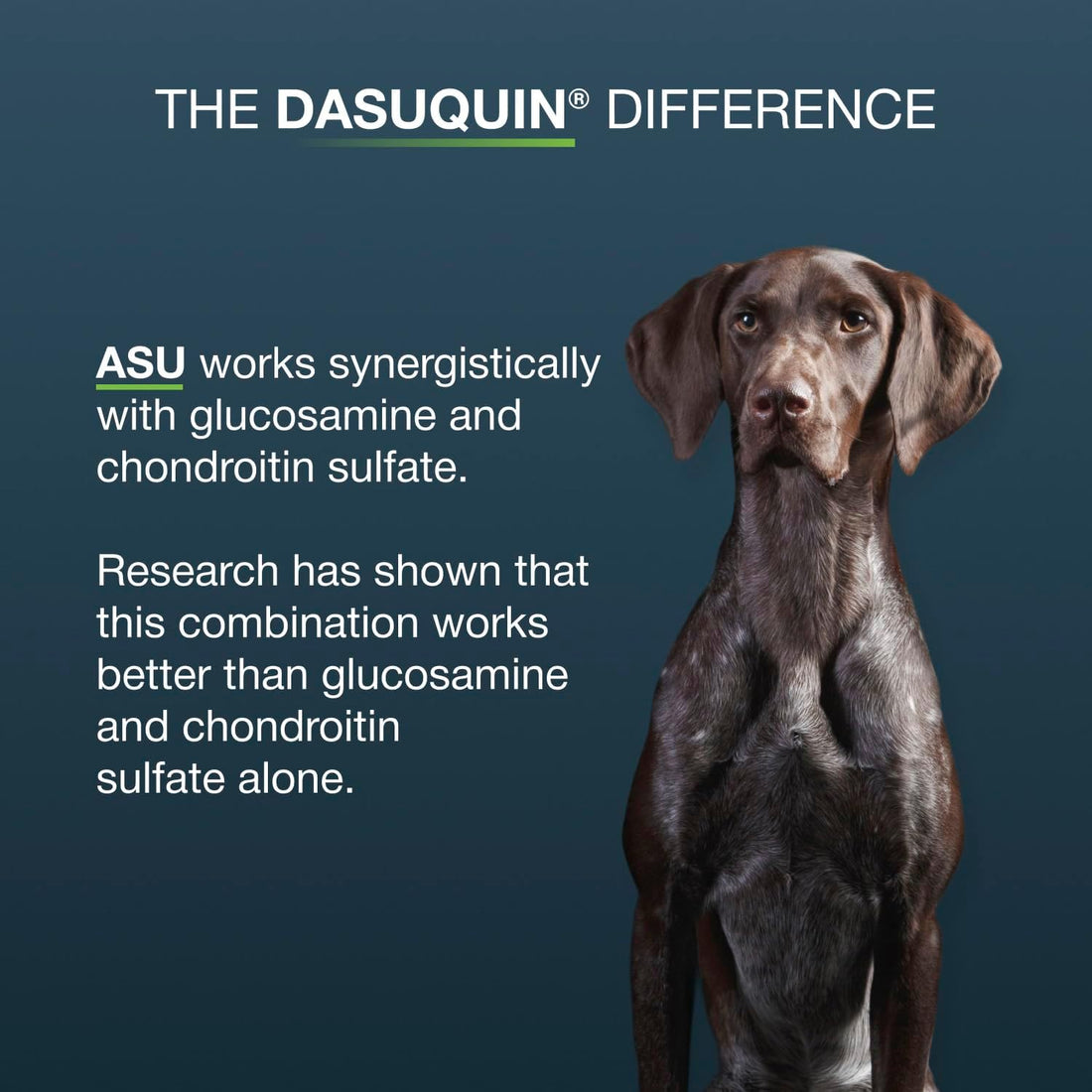 Nutramax Dasuquin for Large Dogs, Joint Health Supplement