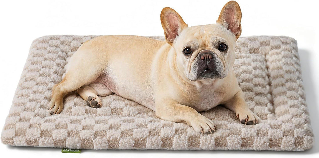 Pet Bed Mat Crate Pad for Cats Small Dogs, Khaki 24''x18''