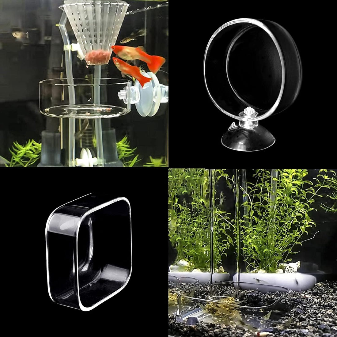 Aquarium Shrimp Feeder Dish Glass Fish Tank Feeding Bowls