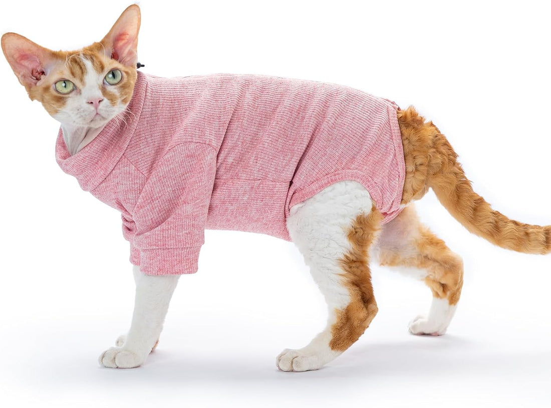 Cat Recovery Suit for Foreleg