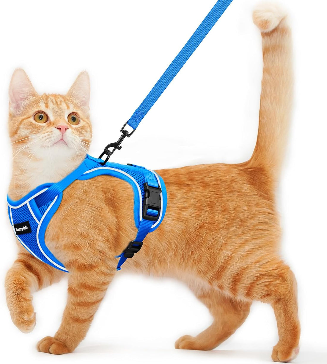 Cat Harness and Leash for Walking Escape Proof Soft Adjustable Cat