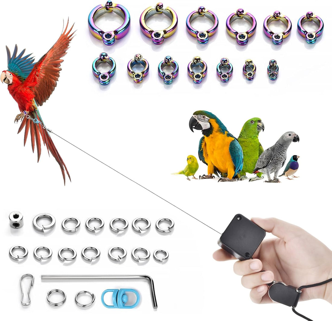 Bird Leash,6.6 Ft, with 13 Different Size Foot Ring ( Gold Color)