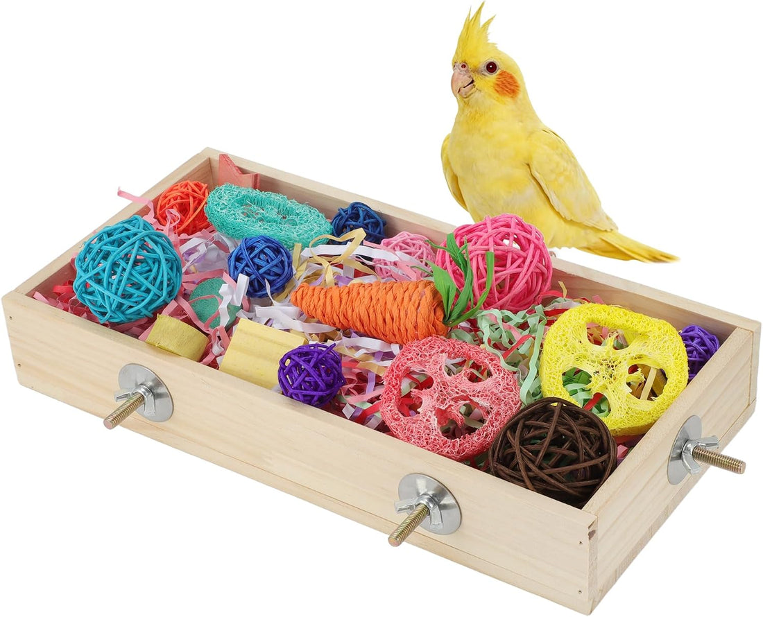 Bird Foraging Toys Box, Wooden Foraging for Bird, Wood Color M