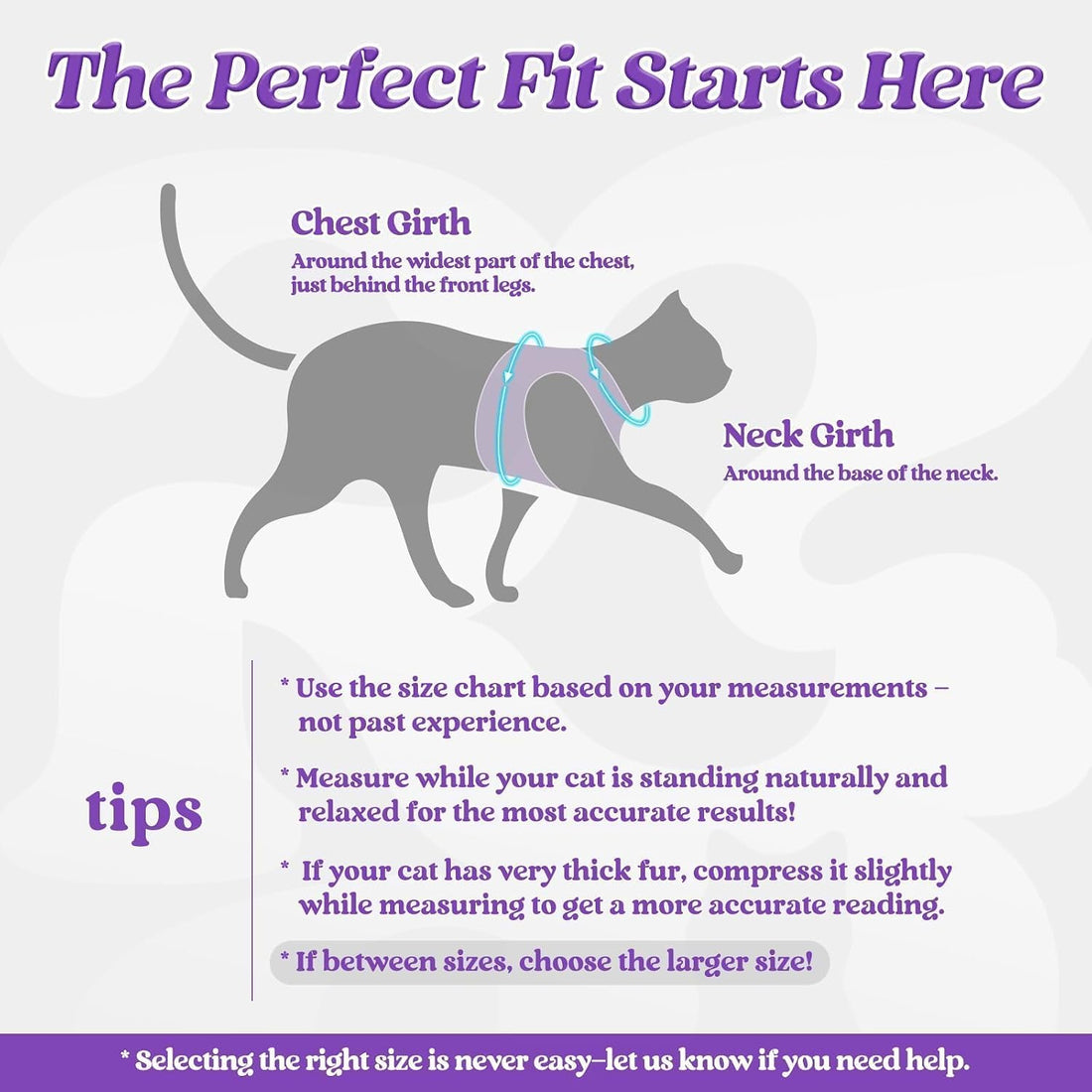 rabbitgoo Cat Harness and Leash