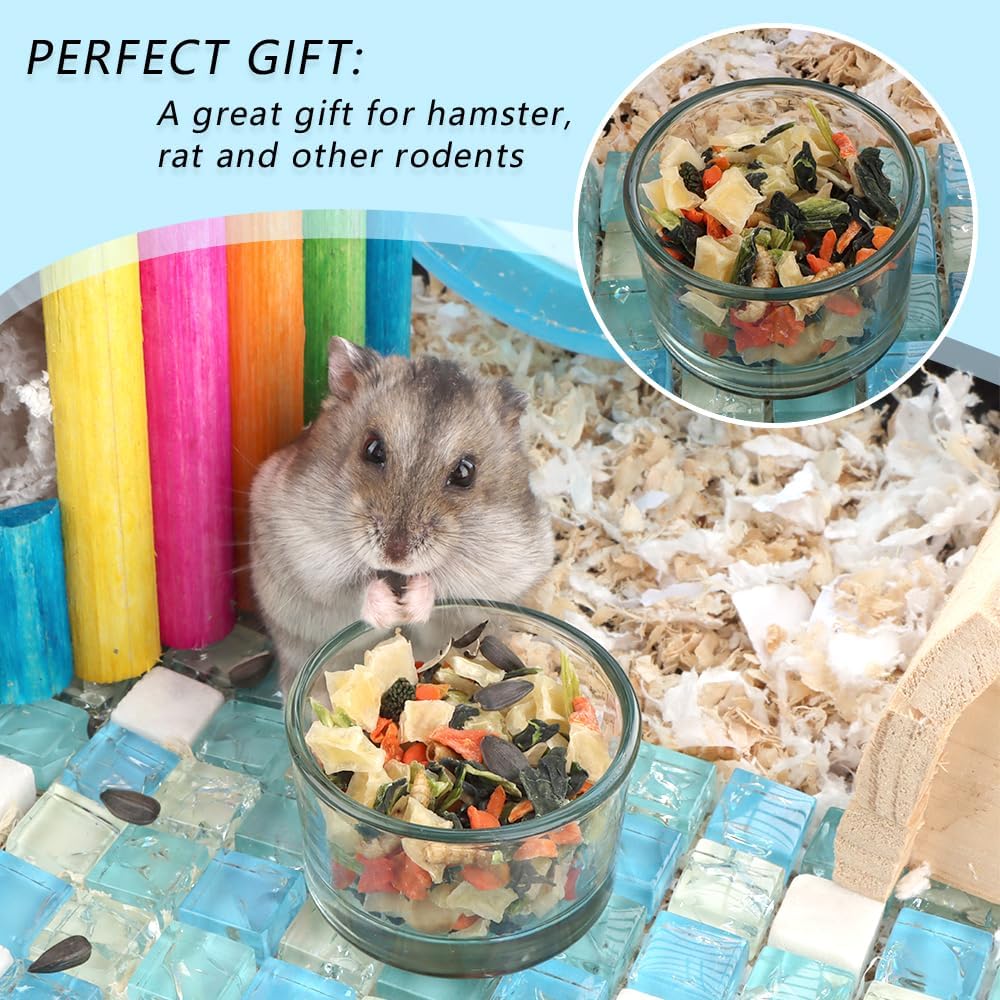 2 Pcs Hamster Food and Water Bowl Glass Anti-Turning Transparent Dish