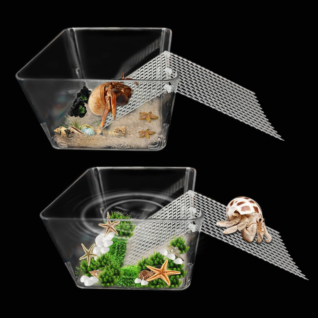 2 Packs Hermit Crab Pool - Ideal Hermit Crab Tank Combination