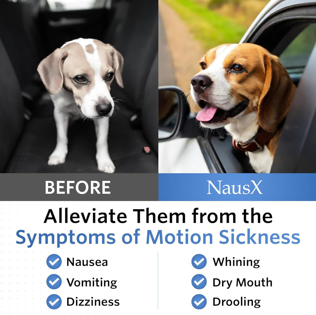 Anti-Motion Sickness and Nausea Relief for Medium Breed Dogs