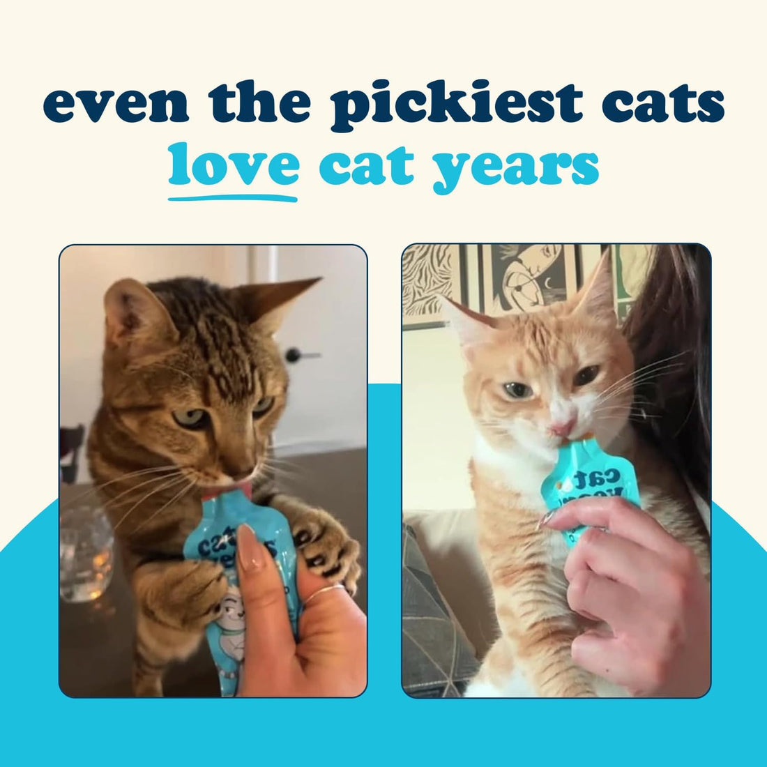 Cat Years Hydration Booster, Daily Lickable Treat