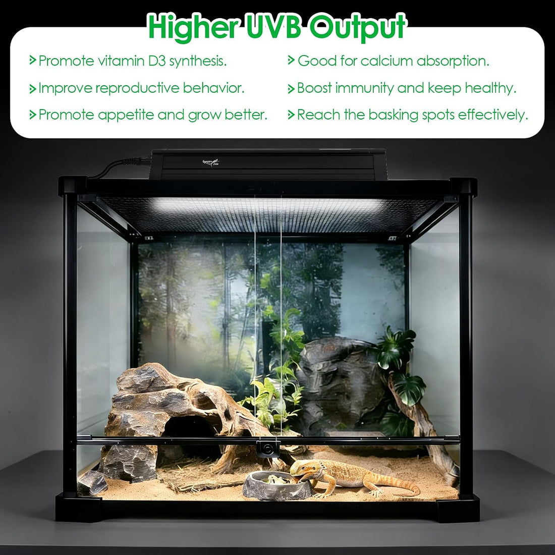 UVB Light for Reptiles Bearded Dragon