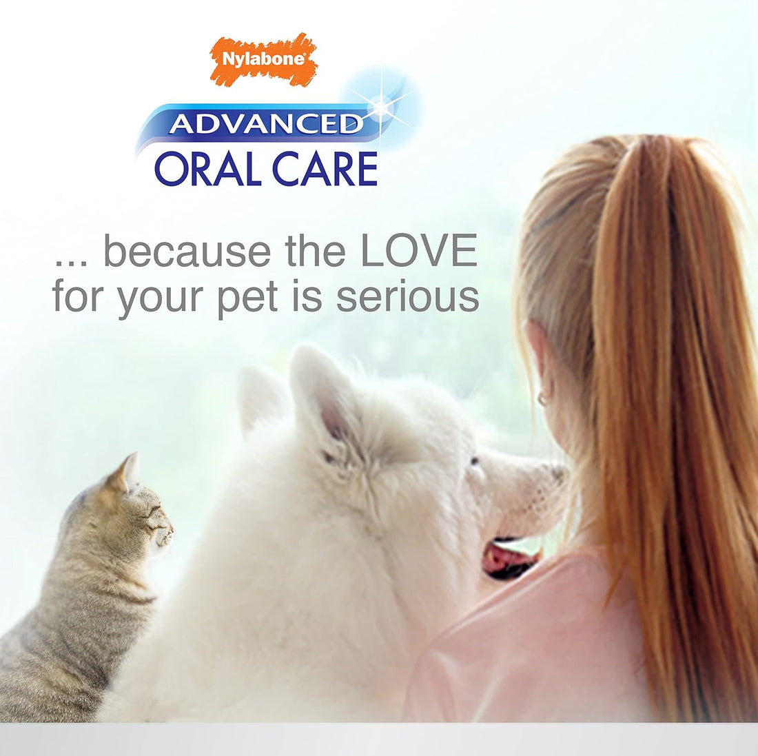 Nylabone Advanced Oral Care Dental Kit