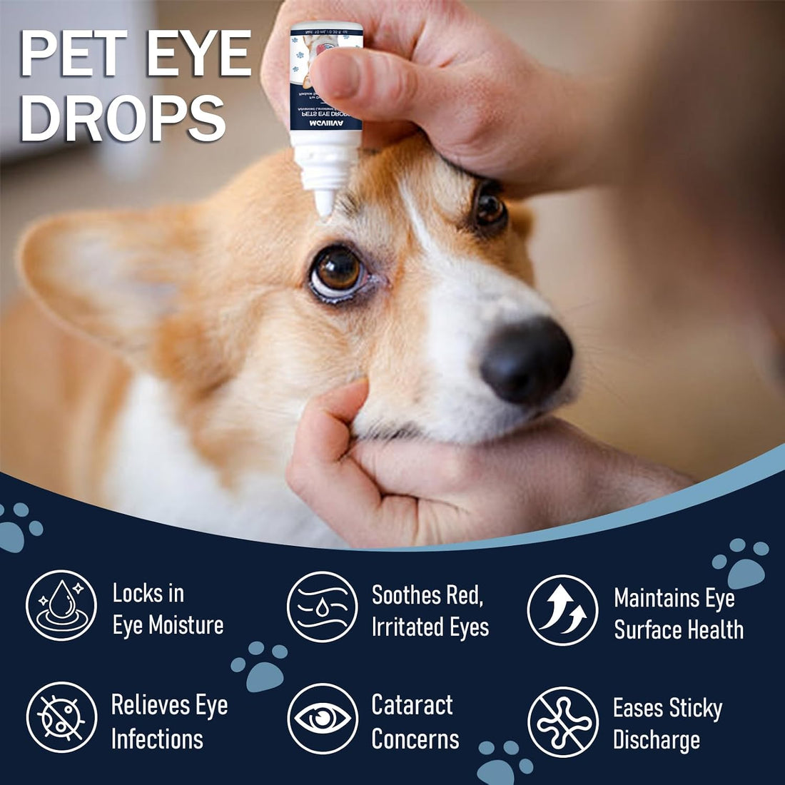Dog & Cat Cataract Eye Drops & Infection Treatment