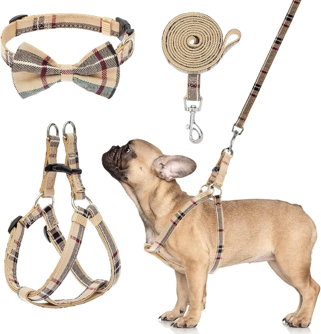 BINGPET No Pull Dog Harness Leash Collar Set,Adjustable Step