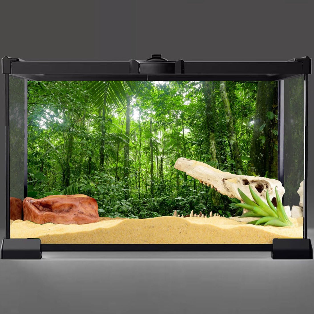 36x18 in Tropical Terrarium Backdrop Green Tree Reptile Habitat