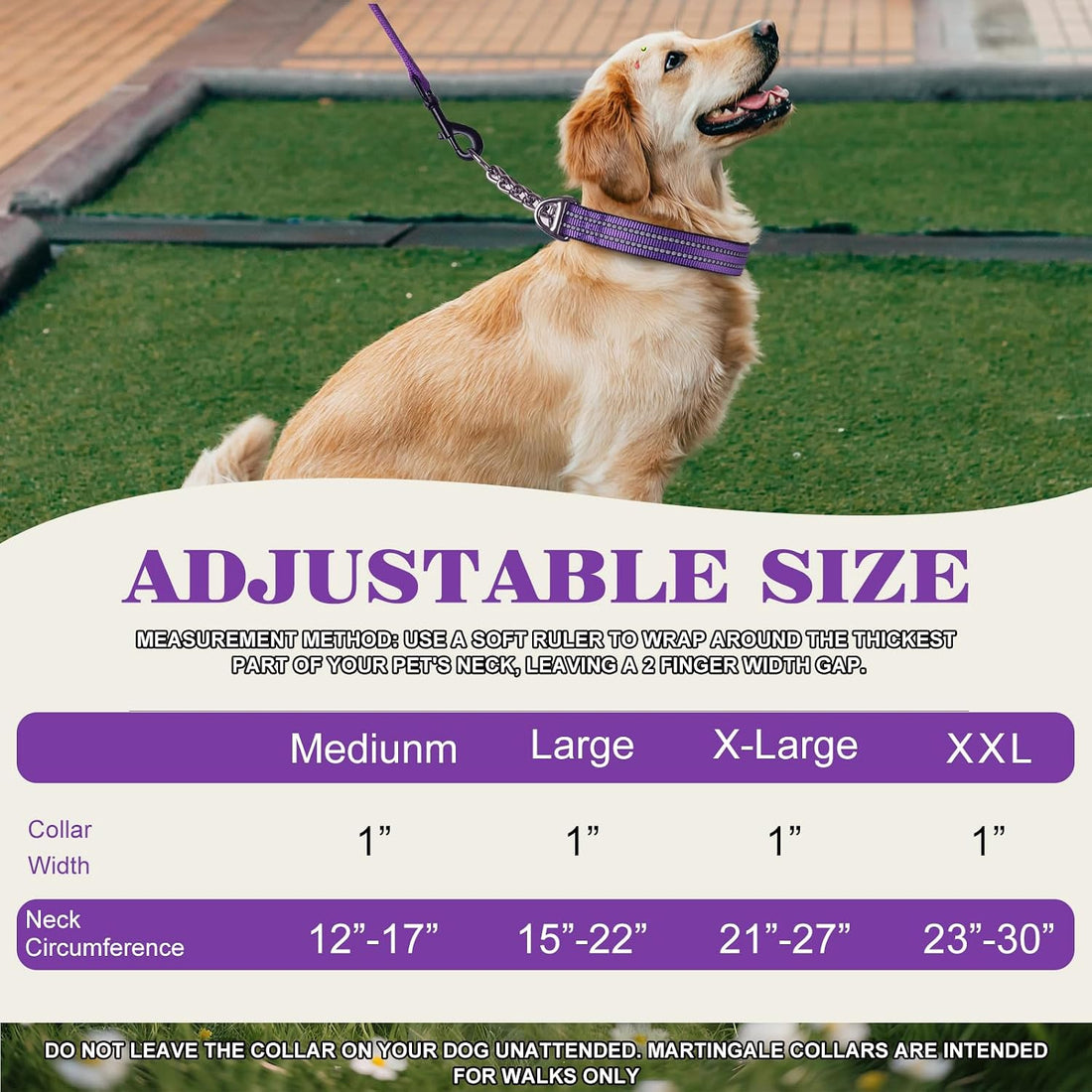 Martingale Collar for Dogs with Chain,Heavy Duty Dog Collar