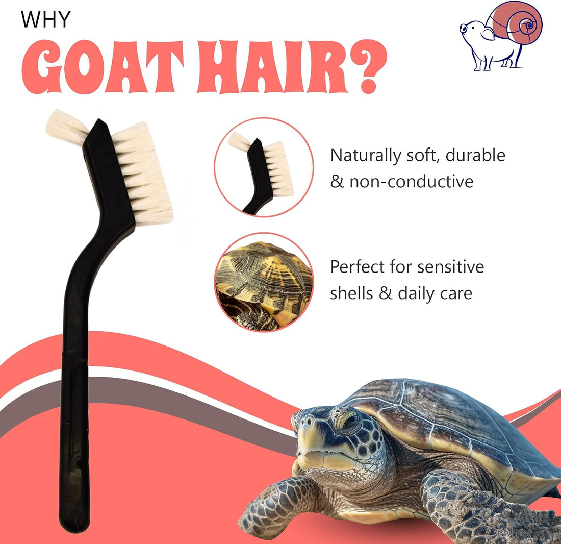 Turtle Cleaning Brush Remove Aquatic Mud, Dirt