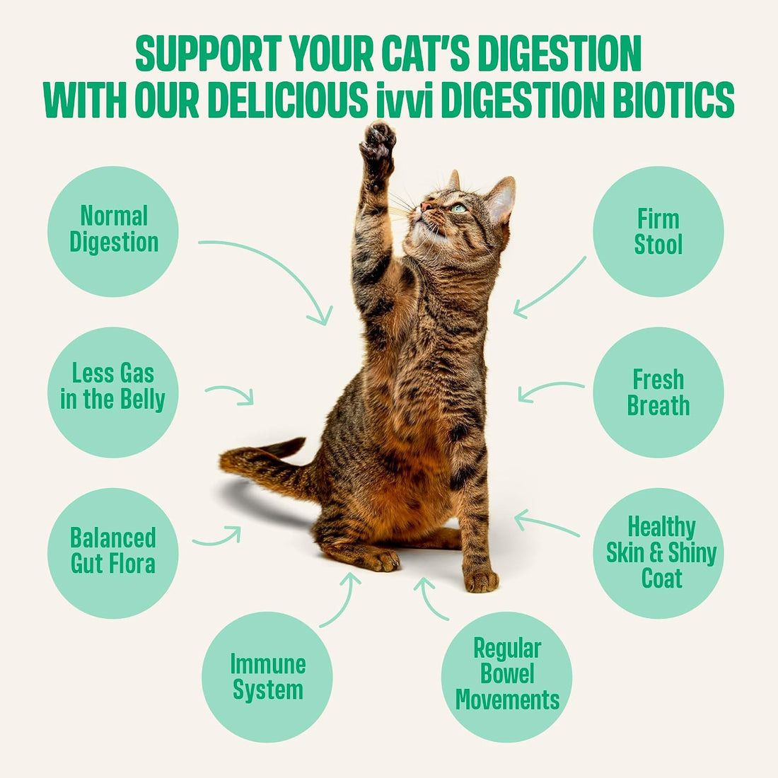 ivvi Digestion Biotics for Cats
