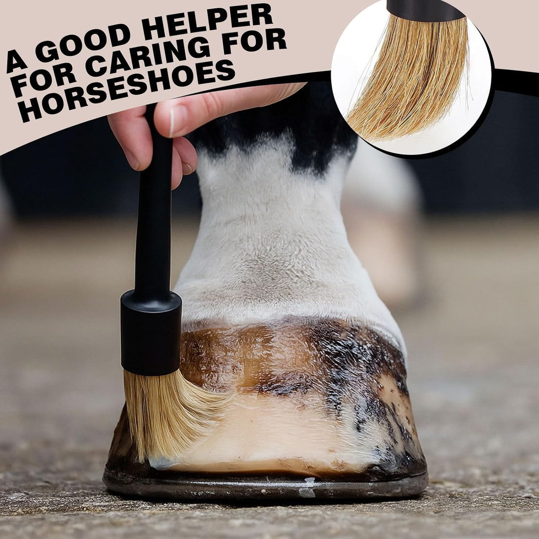 2 Set Hoof Oil Brush with Cap Soft Horse Face Cleaning Brush