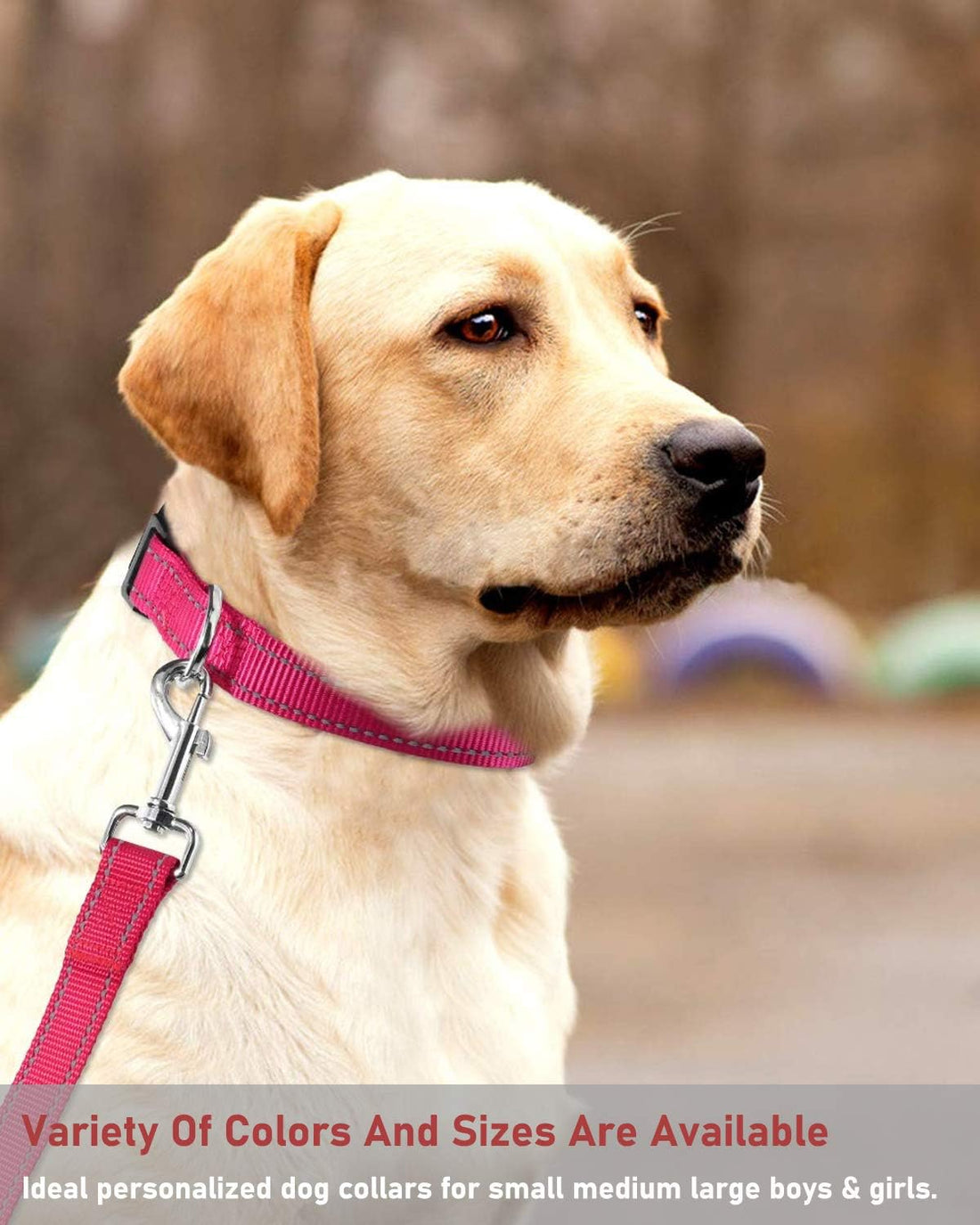 Reflective Dog Collar with Buckle Adjustable Safety Nylon Collars