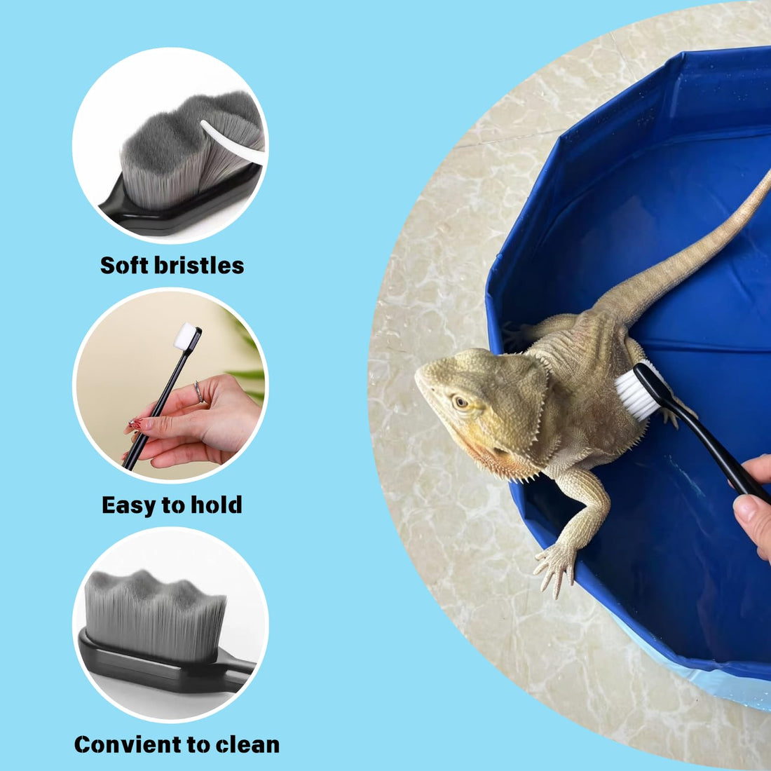 Foldable Bearded Dragon Bathtub with 2Pcs Reptile Mini Swimming Rings