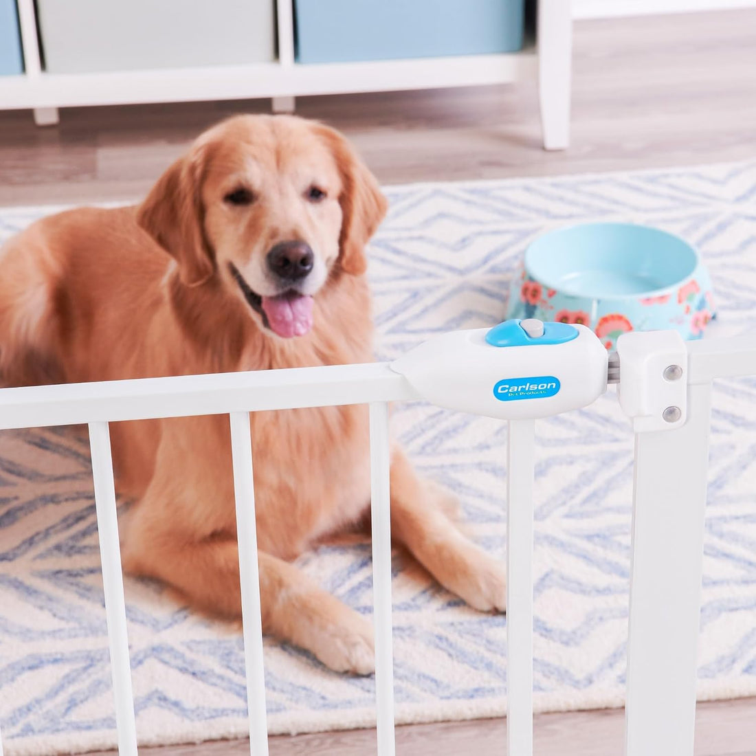 Carlson 29–36.5” Extra Wide Dog Gate with Small Pet Door