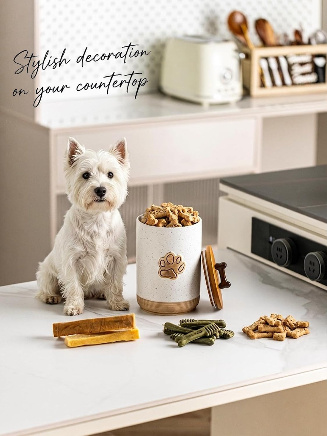 Miamolo Dog Treat Container with Lid