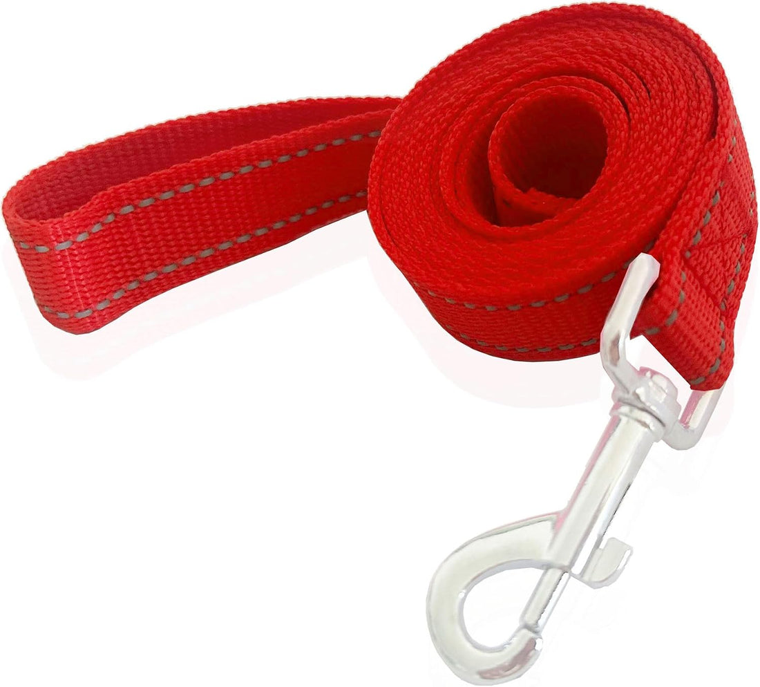 Nylon Dog Leash 8 Feet Long, Walking Training Dog Leashes for Medium