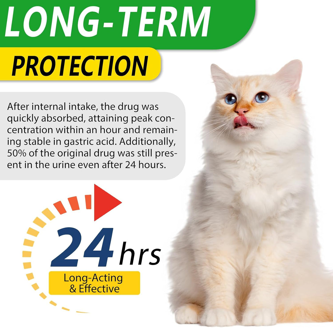 Antibiotics for Cats, Natural Antibiotic Pet Supplements Supports