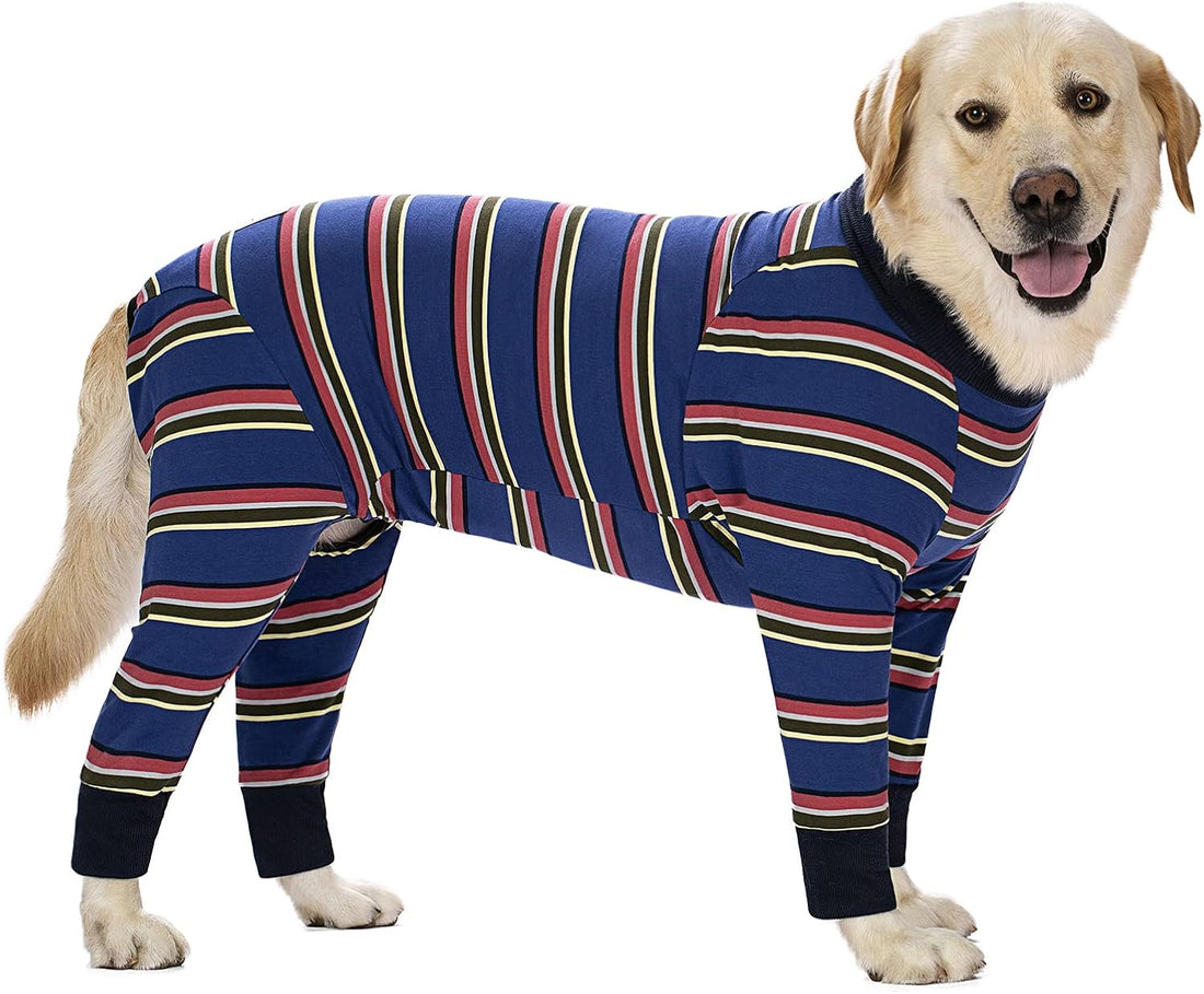 Dog Surgery Recovery Suit Female Male for Dogs After Surgery Medium