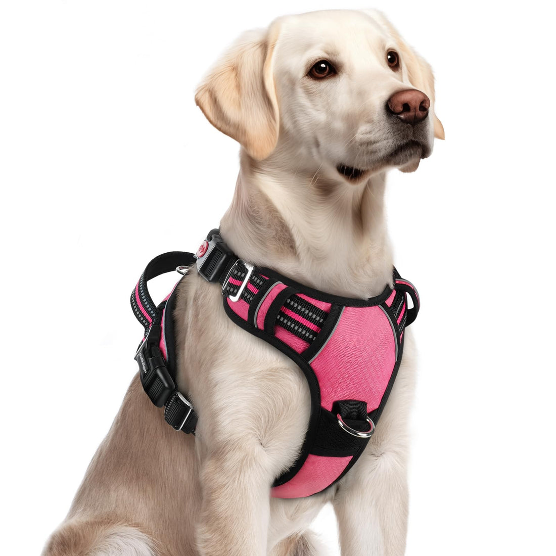 rabbitgoo Dog Harness for Large Dogs, No Pull Pet Vest with 3 Buckles