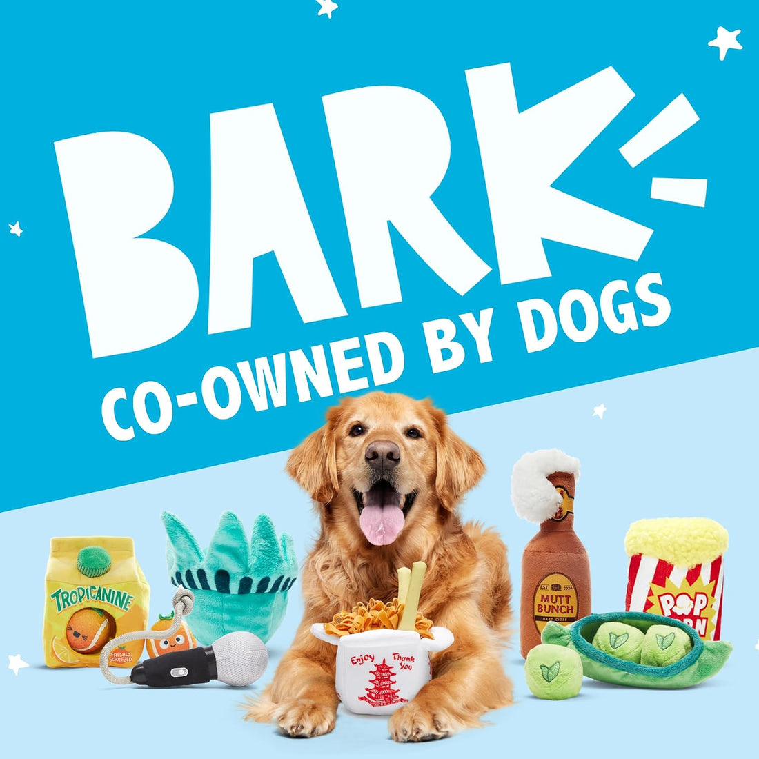 BarkBox Brooke Trout Plush Dog Toy - for Dogs