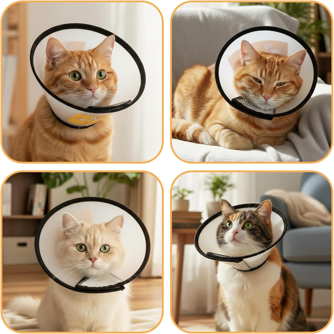 2 Pack Cat Cones to Stop Licking Transparent Plastic