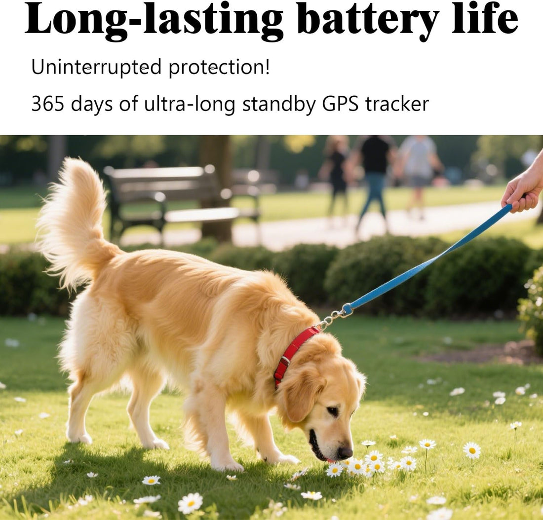 GPS Tracker for Dogs,Mini Cat Tracker,Smart Pet Tracker,No Monthly Fee