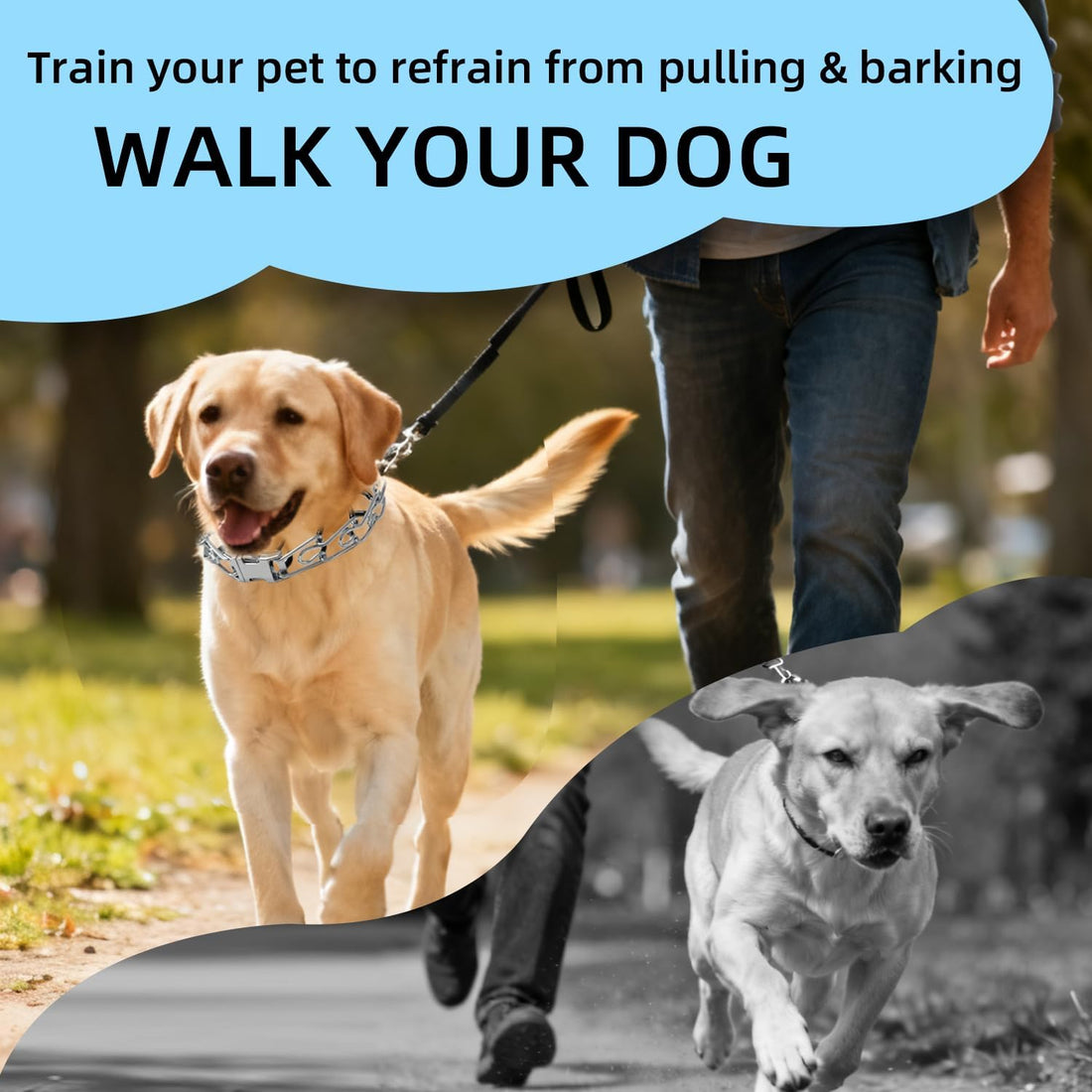 Prong Collar for Dogs, No Pull Dog Pinch Collar for Small Medium