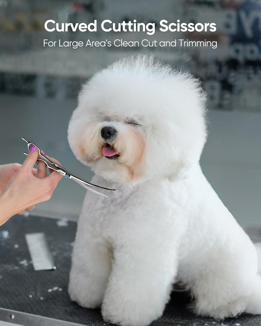 ULG Curved Dog Shears for Grooming