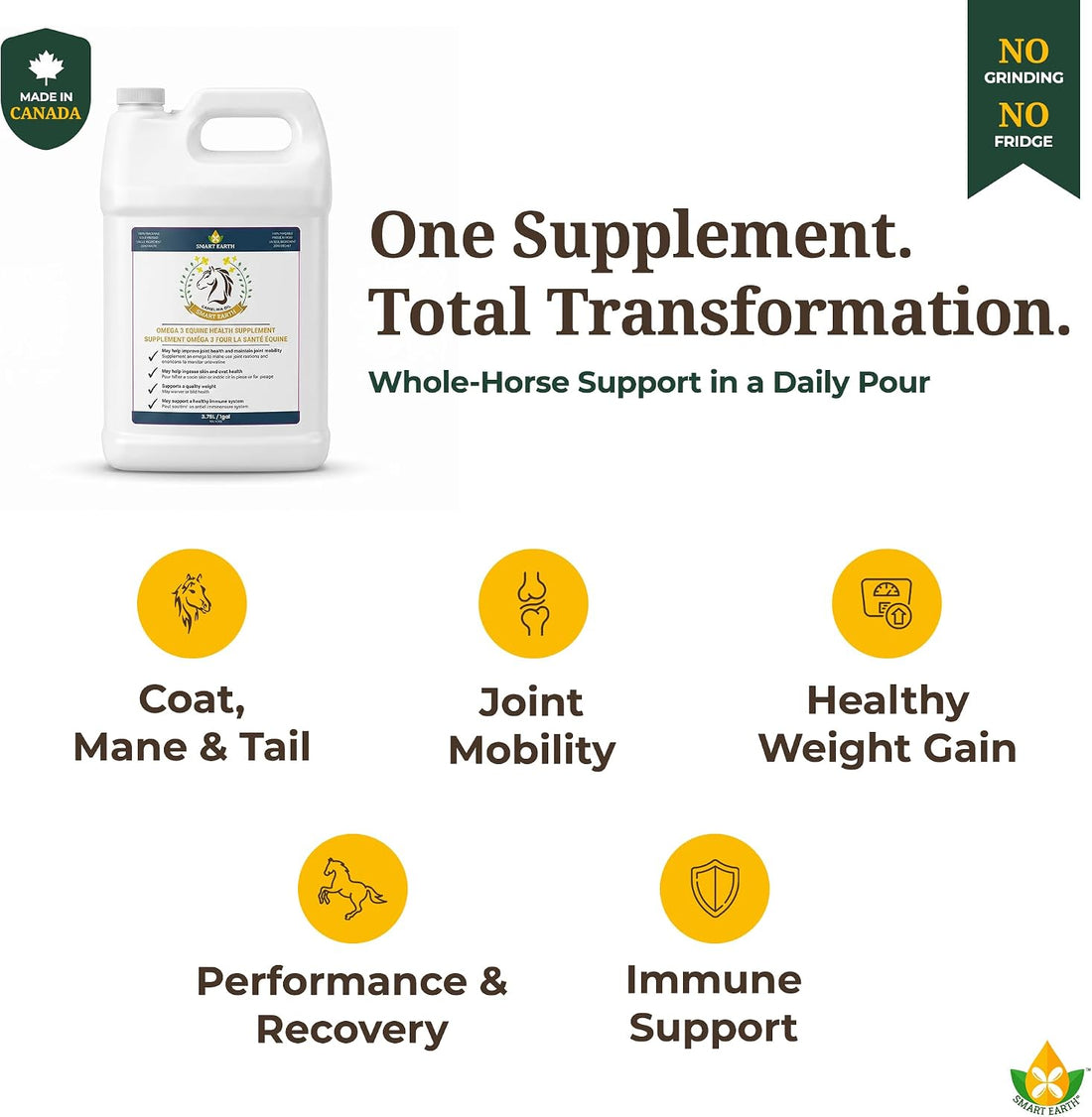 100% Pure Camelina Oil for Horses