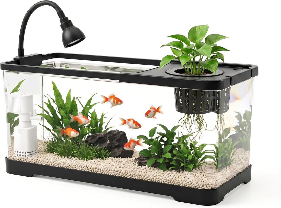 AS Fish Tank Aquarium with LED & 3-in-1 Pump for Betta, 3 Gal
