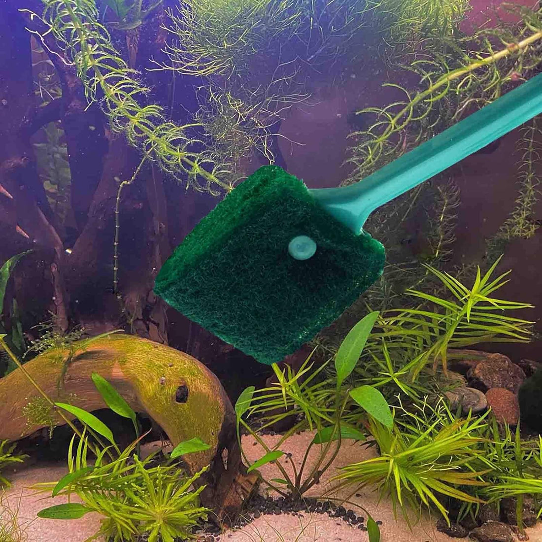 3 PCS Double-Sided AOODOOM Aquarium Fish Tank Algae Cleaning Brush